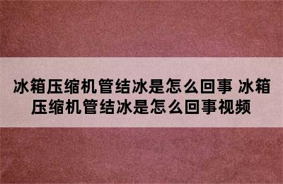 冰箱压缩机管结冰是怎么回事 冰箱压缩机管结冰是怎么回事视频